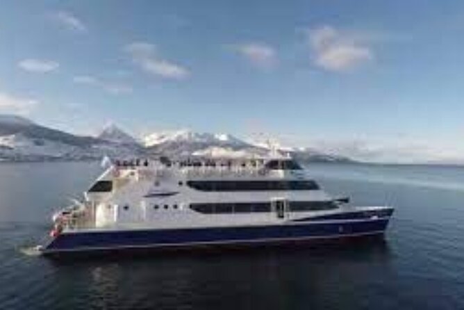 3-Hour Tour Sailing Through the Beagle Channel - Getting There and Directions