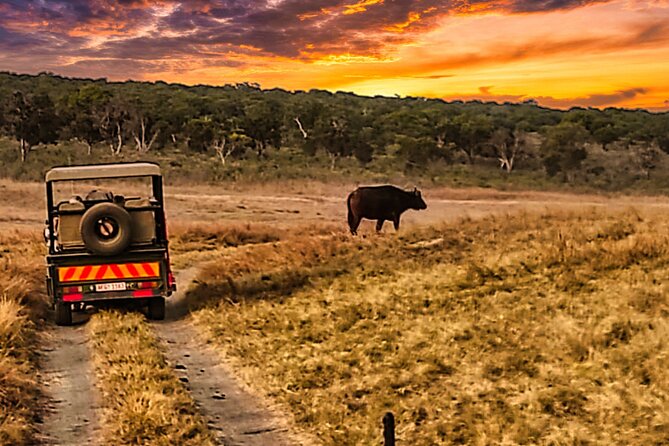 3-Hour Zambezi National Park Safari in 4x4 Jeep - Maximum Travelers and Price