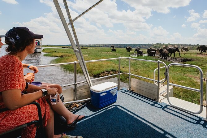 3 Hours Chobe Boat Cruise, Botswana - The Sum Up