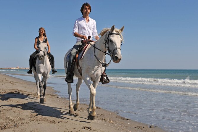 3 Hours Horse Riding, Beach and Sand - Hurghada - Reservation Details