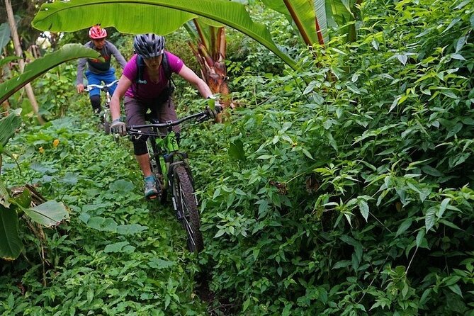 3-Hours Private Mountain Biking in Galle - The Sum Up