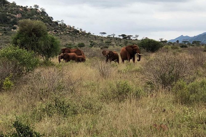 3-Night Safari From Nairobi: Lake Nakuru and Masai Mara - Booking Requirements and Information