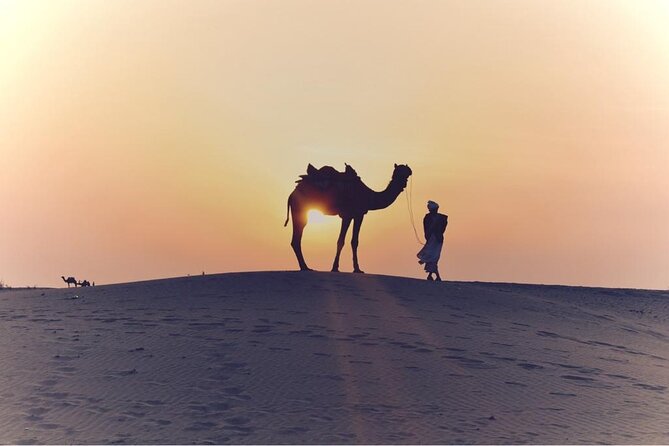 30 Minutes Camel Ride and 30 Quad Bike in Dubai - Special Offer Details