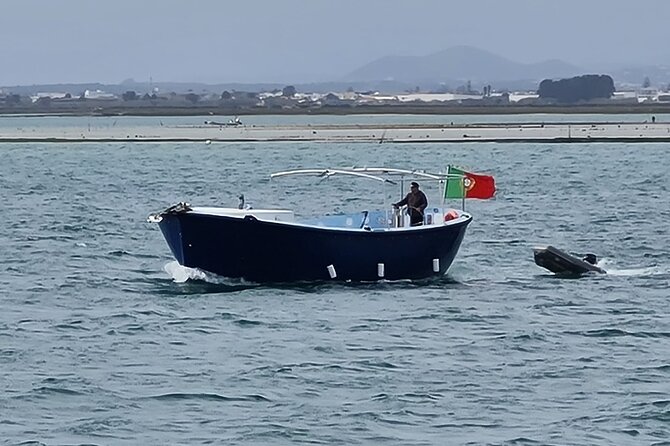 3:30 Hours Guided Tour on Classic Boat in Ria Formosa, Olhão.. - Accessibility Details