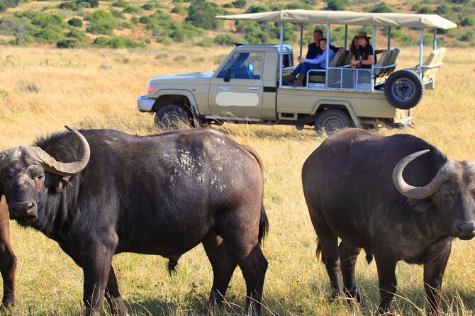 4-Day Amboseli National Park Safari on 4x4 Landcruiser Jeep - Cancellation Policy and Pricing