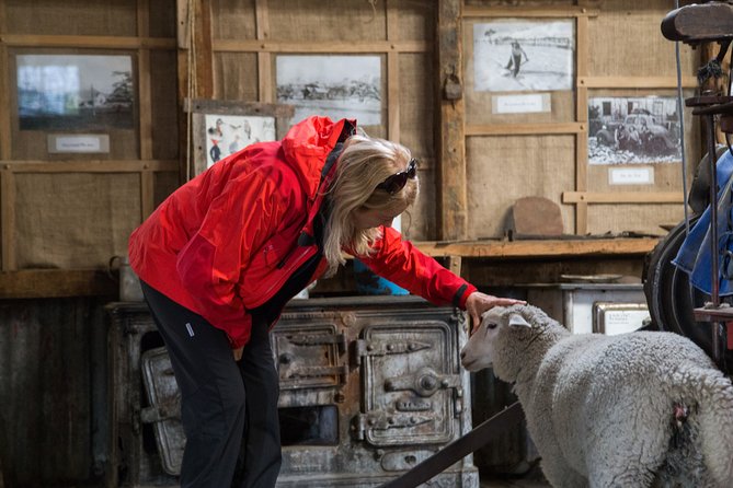 4-Day Best of El Calafate - Excursions and Activities