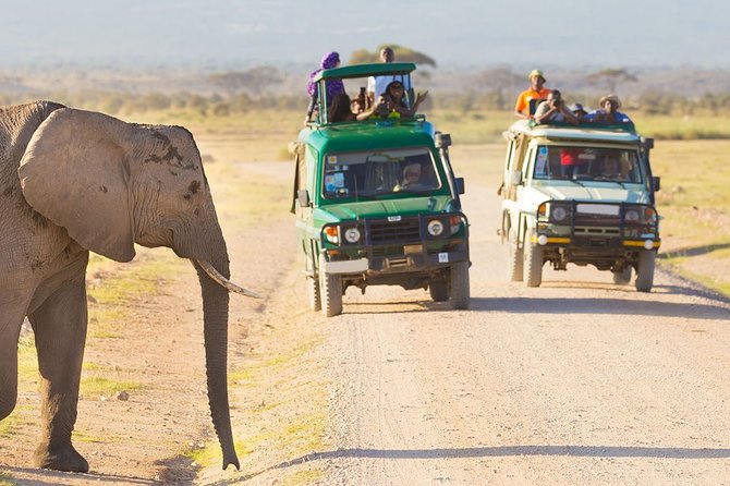 4-Day Discover Maasai Mara and Lake Nakuru Safari on 4x4 Jeep - Costs and Inclusions