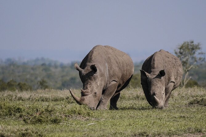 4 Day Etosha and Swakopmund Lodging - Pricing and Payment