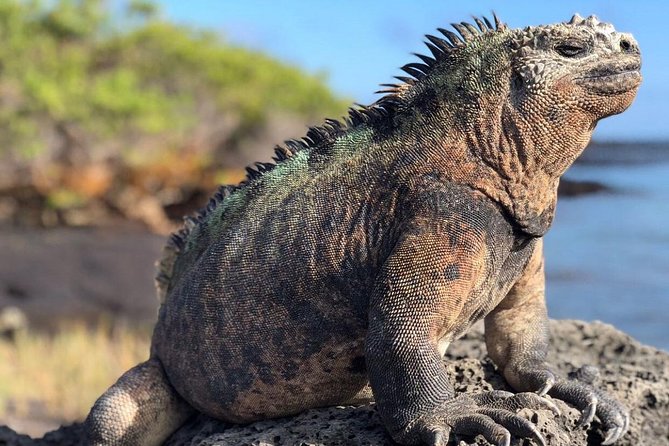 4-Day Galapagos Island Hopping Tour in Santa Cruz - Tour Overview