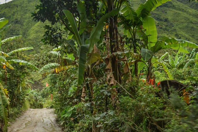 4 Day Inca Jungle Trek to Machu Picchu - Cycling, Water Rafting, Zipline - Important Travel Information
