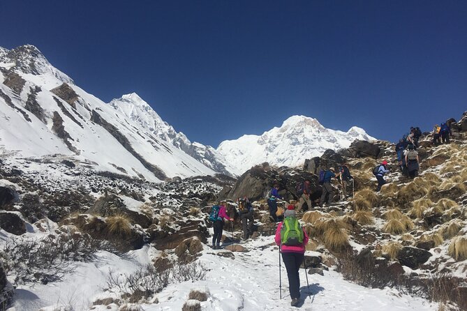 4 Day Poon Hill Trek and Pokhara Private Tour - Cancellation Policy
