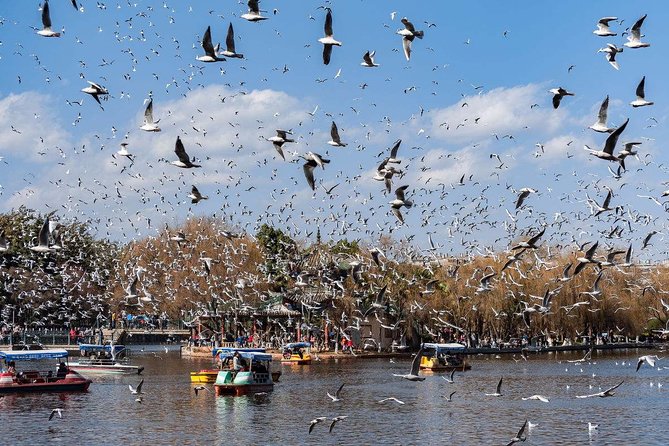 4-Day Private Yunnan Discovery From Chengdu: Kunming, Dali and Lijiang - Tour Highlights
