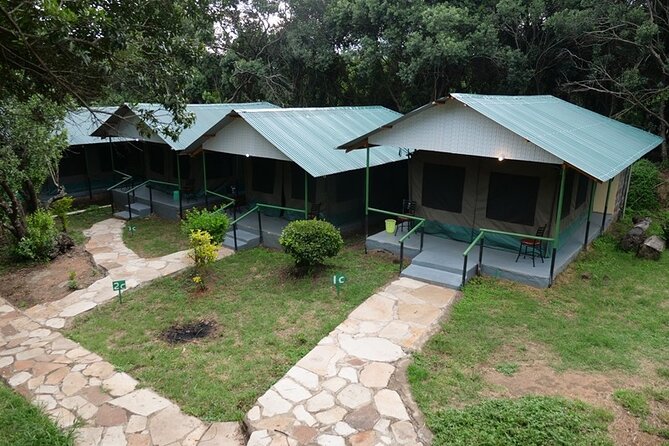 4 Day Safari in Maasai Mara and Lake Nakuru National Park - Pricing and Lowest Price Guarantee