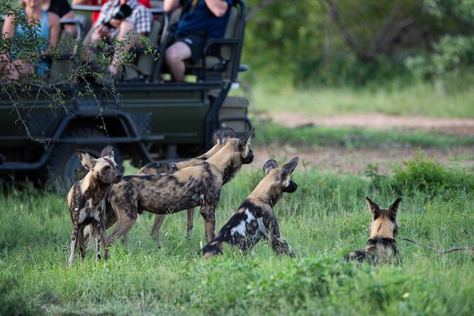 4-Day Serengeti, Ngorongoro & Tarangire Private Camping Tour - Wildlife Encounters