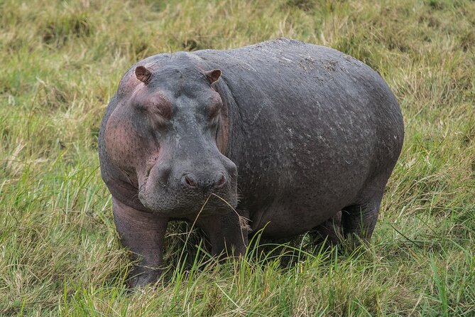 4 Days 3 Night Luxury Safari to Tarangire,Ngorongoro,Lake Manyara - Frequently Asked Questions