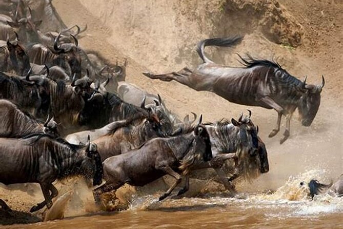 4 Days Budget Mid Range Safari Tour Tanzania - Cancellation Policy
