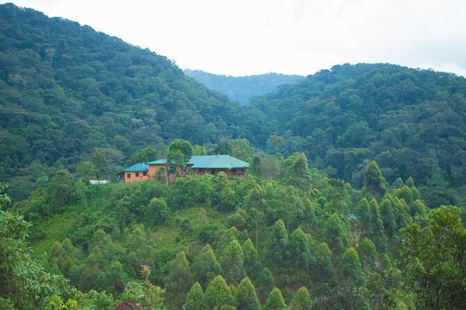 4 Days Bwindi Impenetrable National Park Wildlife Safari - Tour Guide and Operator Details