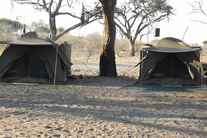 4 Days Camping Safari in Central Kalahari Game Reserve & Nxai Pan - Inclusions and Meals Provided