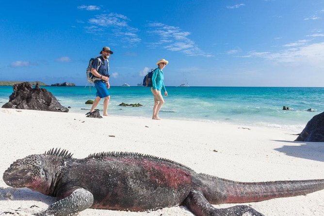 4 Days Galápagos - Isabela Islands and Santa Cruz - Itinerary Details