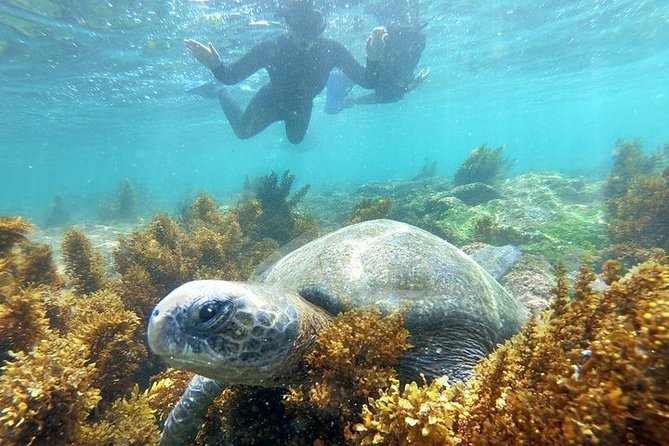 4 Days Galapagos Total Experiences - Additional Costs