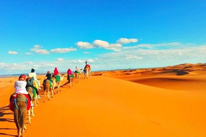 4 Days Marrakech Desert Tour to Fes via Merzouga - Accessibility Information