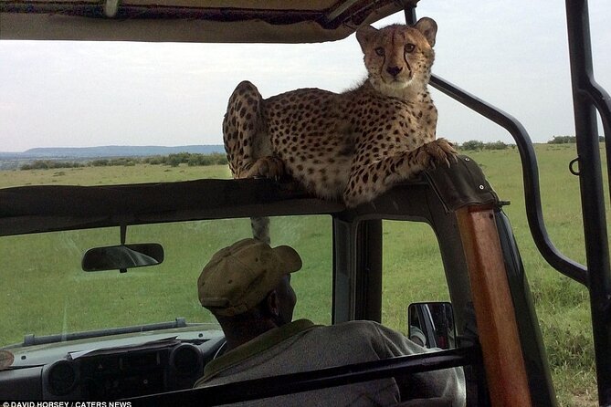 4 Days Masai Mara 4x4 Jeep Lodge Safari - Logistics and Accessibility Details