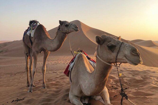 4 Days Package Private Tour in Oman - Pickup Options