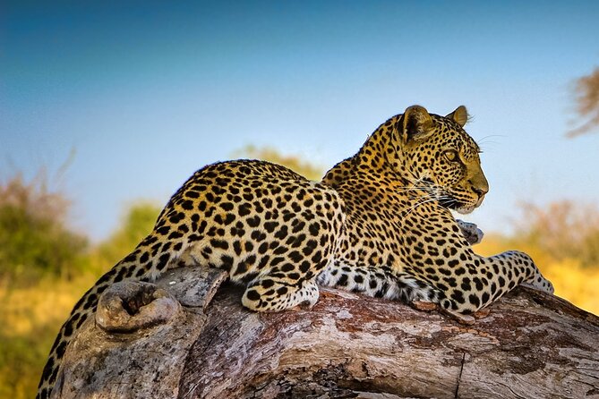 4 Days Private Guided Tour to Serengeti and Ngorongoro & Safari - Pricing and Booking