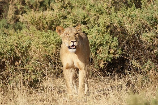 4 Days Samburu Game Reserve & Aberdare National Park-Mid Range - Pricing and Guarantee