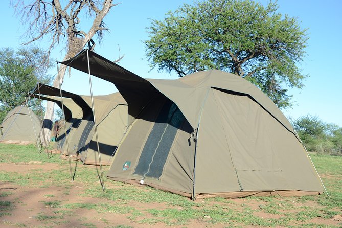 4 Days Tarangire ,Serengeti &Ngorongoro Crater Group Tour - Customer Reviews