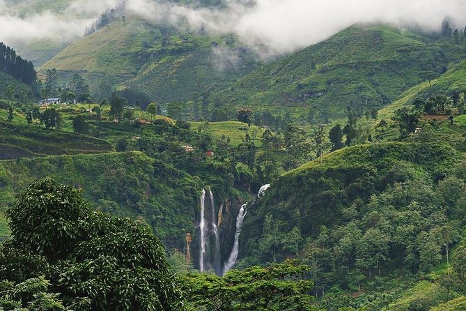4 Days Tour To Kandy, Nuwara Eliya, Dambulla & Polonnaruwa - The Sum Up