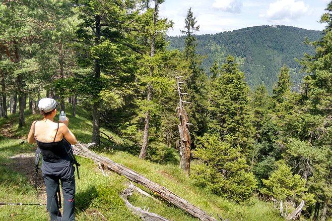 4-Hour Private Alpine Hiking Tour Enzian - Meeting and Pickup Information