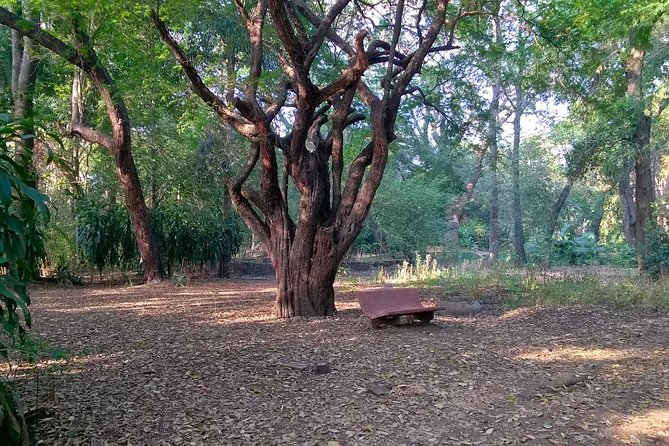4-Hour Tour: Pune University Complex Cycling Private Tour - Activities and Additional Info