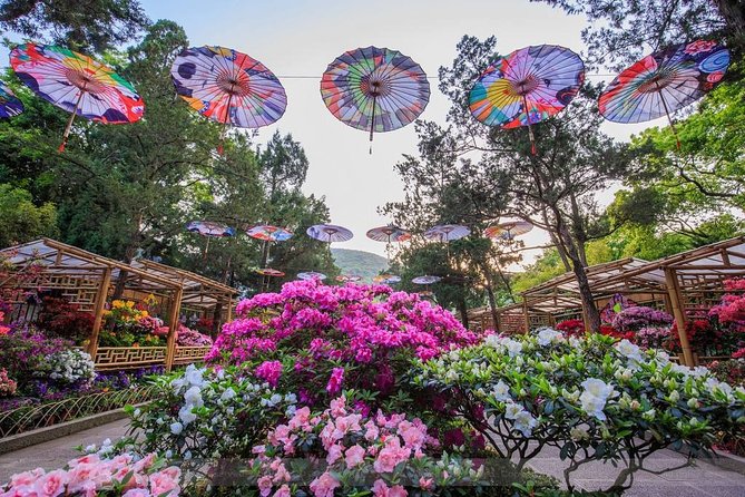 4-Hour Wuxi Private Tour: Huishan Old Town, Jichang Garden and Nanchan Temple - Cancellation Policy