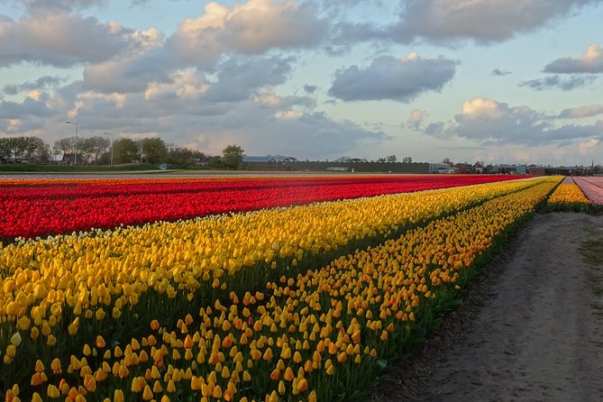 4 Hours Private Tour of the Flourishing Flowerfields by Car or Minivan - Cancellation Policy and Weather Considerations