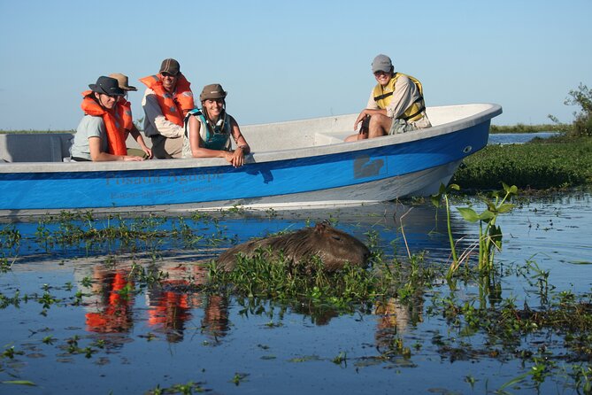 5-Day Ibera Marshlands & Iguazu Falls Tour - Frequently Asked Questions