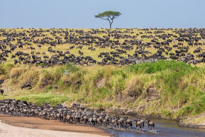 5-Day Private Camping Tour to Serengeti, Ngorongoro & Tarangire - Cultural Experiences