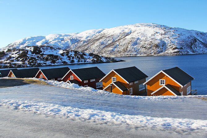 5-Day Private Norway Arctic Adventure in Norway - Northern Lights - Additional Considerations