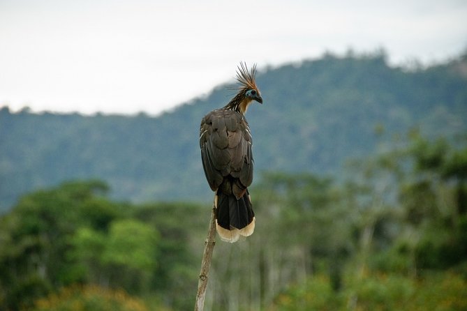 5 Day - Refugio Amazonas Classic Program - Group Service - Booking Process