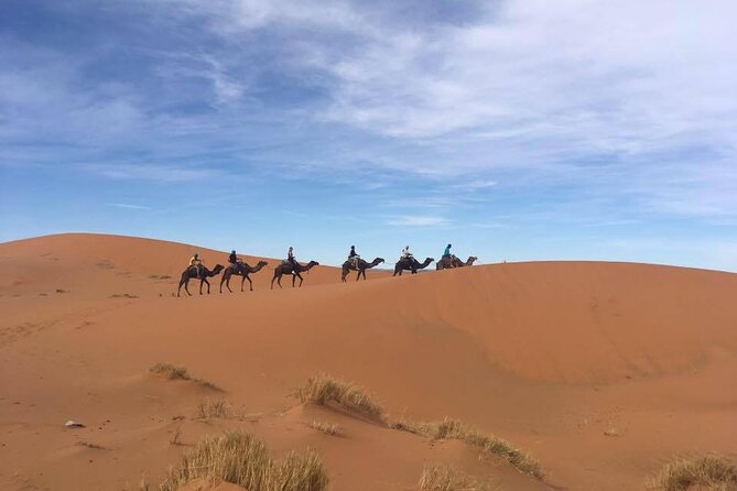 5-Day Tour From Casablanca: Explore Sahara Desert and Marrakech - Pickup and Drop-off Information