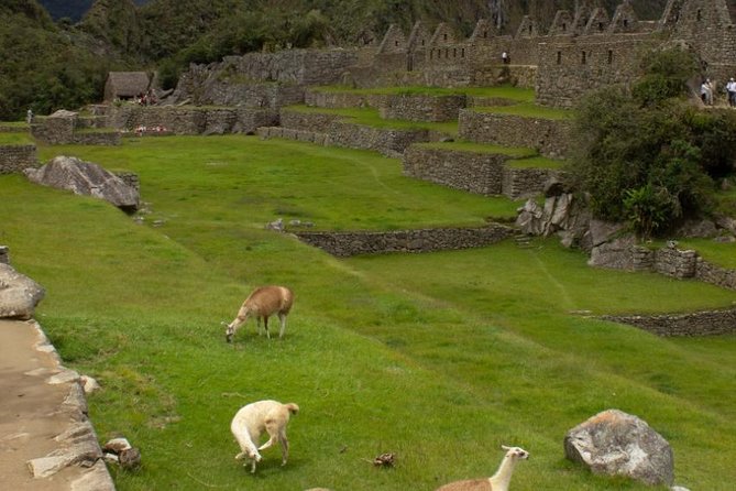 5 Day View Machu Picchu and Highlights of Cusco - Pricing Breakdown