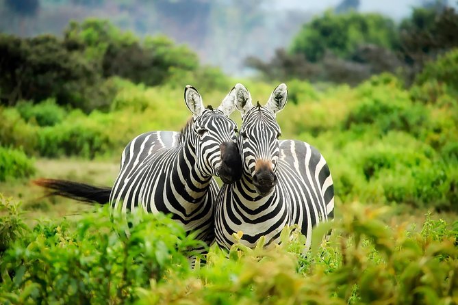 5 Days 4 Nights Mt Kenya, Samburu, Olpejeta Safari - Frequently Asked Questions