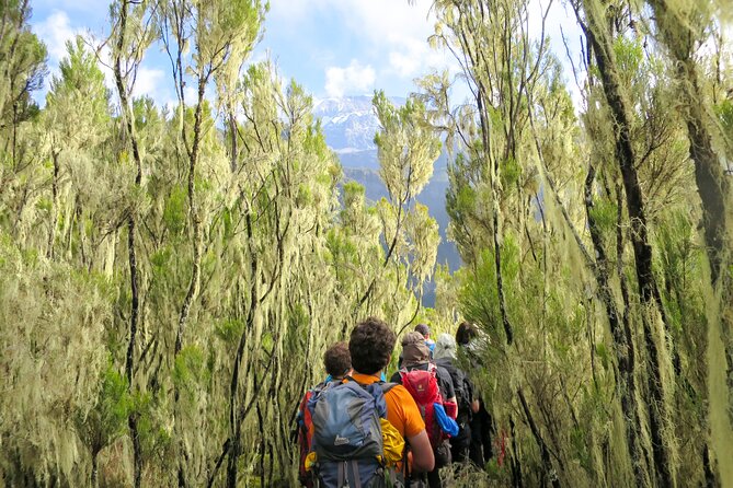 5-Days Kilimanjaro Marangu Route Activity - Post-Tour Reflection