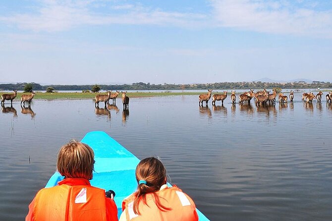 5 Days Lake Naivasha Lake Nakuru And Masai Mara Safari Tour - Review Information