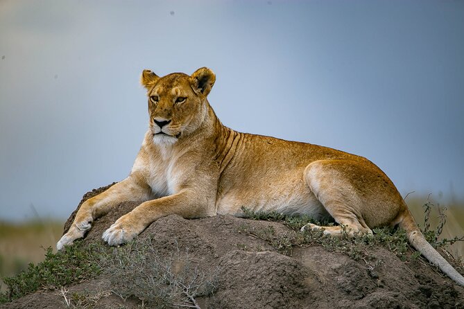 5 Days Mara River Crossing Wildebeest Migration in Serengeti - Cultural Experiences Included