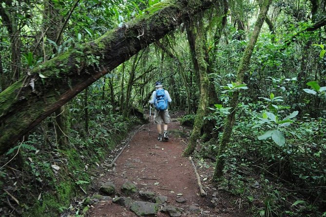 5 Days Marangu Route Kilimanjaro Trekking - Expectations and Additional Information
