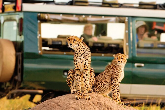 5 Days Masai Mara With Lake Nakuru and Naivasha Tour by 4x4 Jeep - Frequently Asked Questions