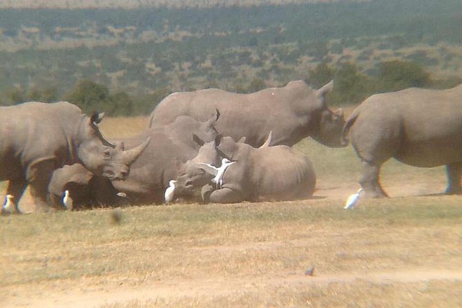 5 Days Olpejeta Conservancy & Solio Rhino Sanctuary - Health and Safety Guidelines