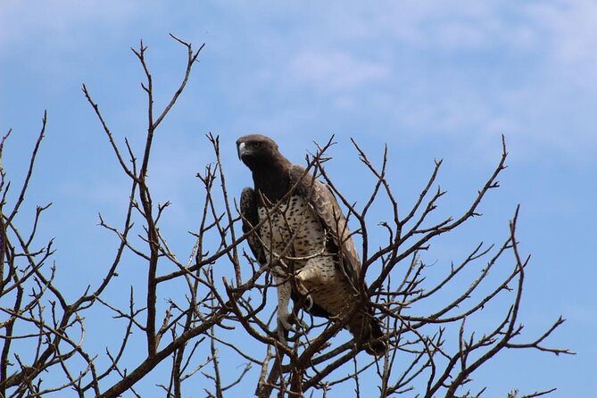 5 Days Safari Masai Mara +Hells Gate/ Lake Naivasha - Pricing and Payment Information