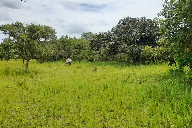 5 Days Uganda Wildlife Tour & Chimpanzee Habituation Experience - Inclusions
